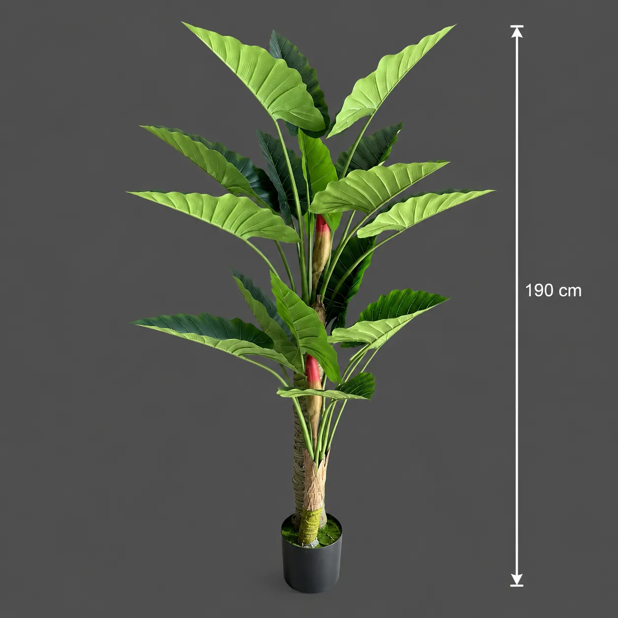 Alessandro Design Alocasia plantă artificială 190cm verde 2 tije