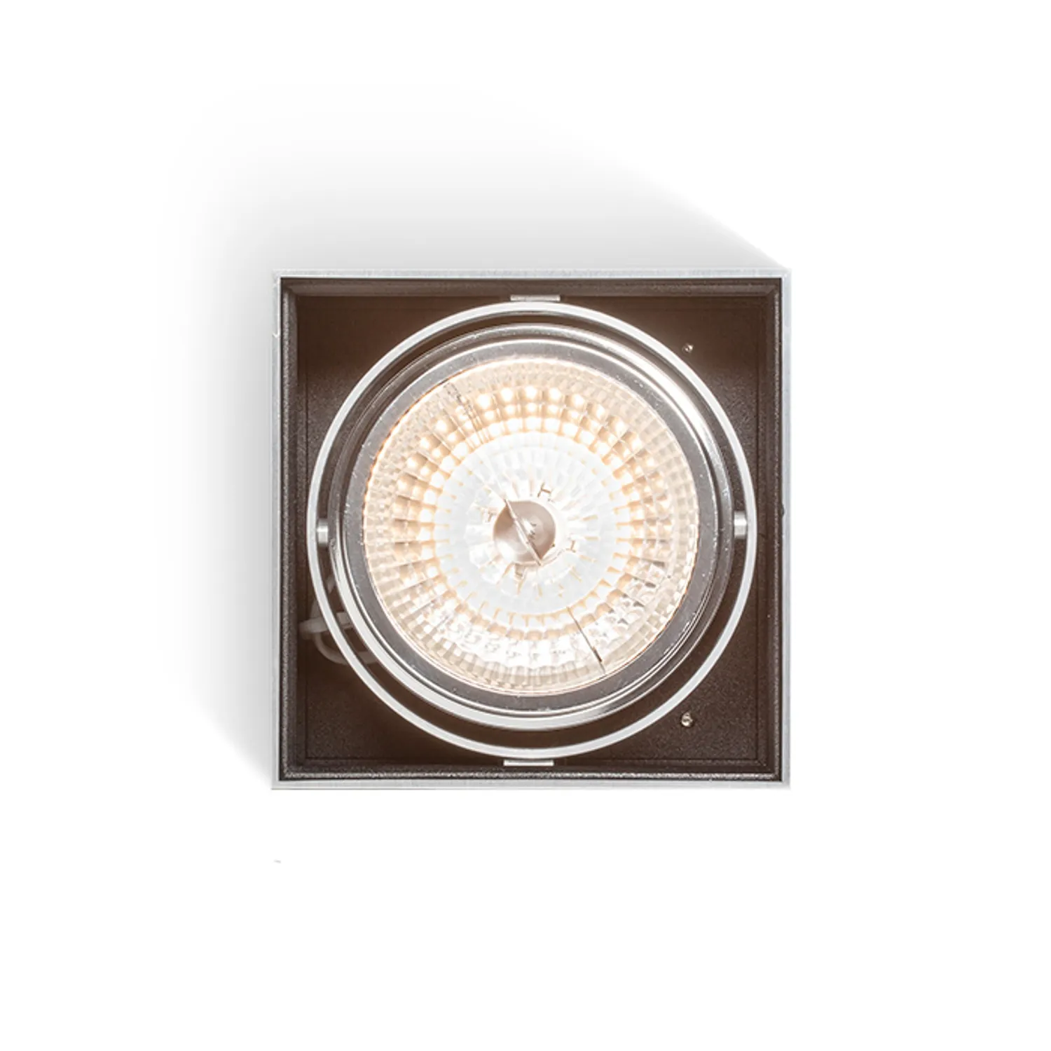 Rendl Light Studio Dean I plafoniera aluminiu periat orientabila