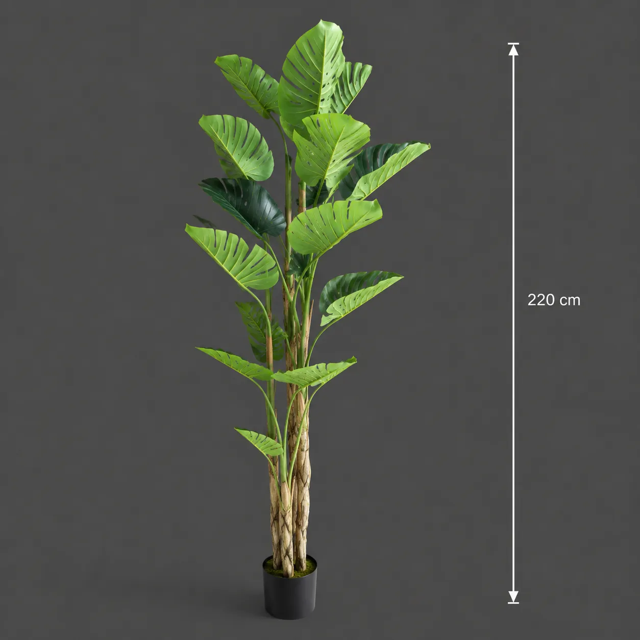 Alessandro Design Monstera Deliciosa planta artificiala 220 cm verde