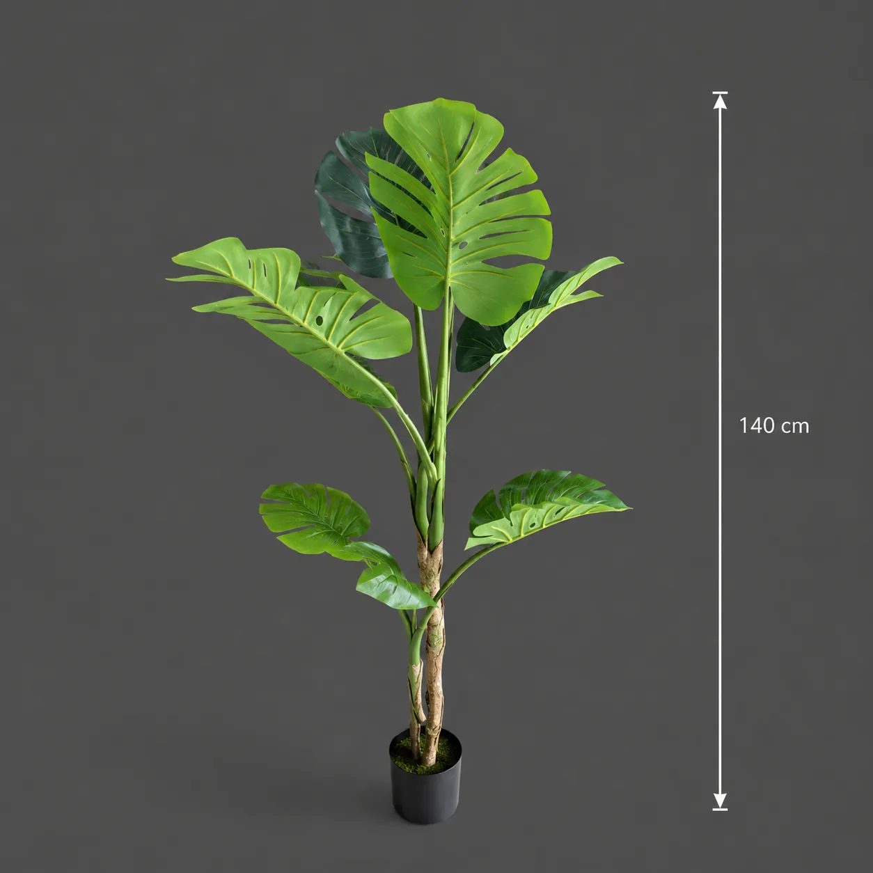 Alessandro Design Monstera planta artificiala verde 140cm
