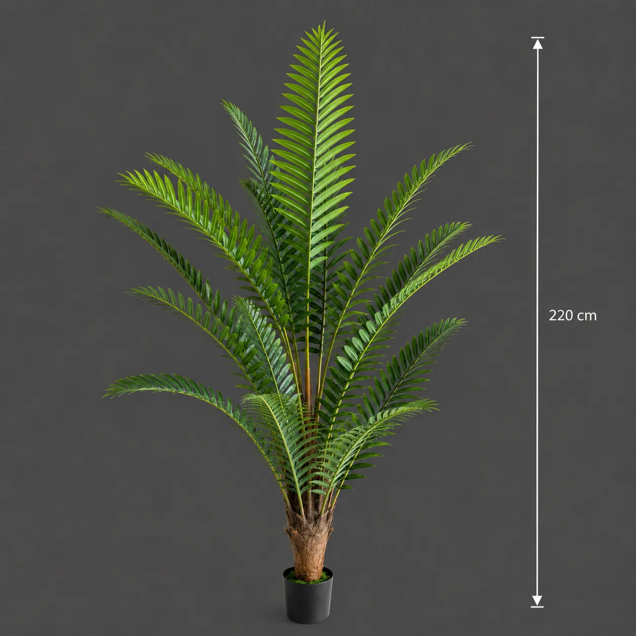 Alessandro Design palmier artificial Royal 220 cm verde cu ghiveci
