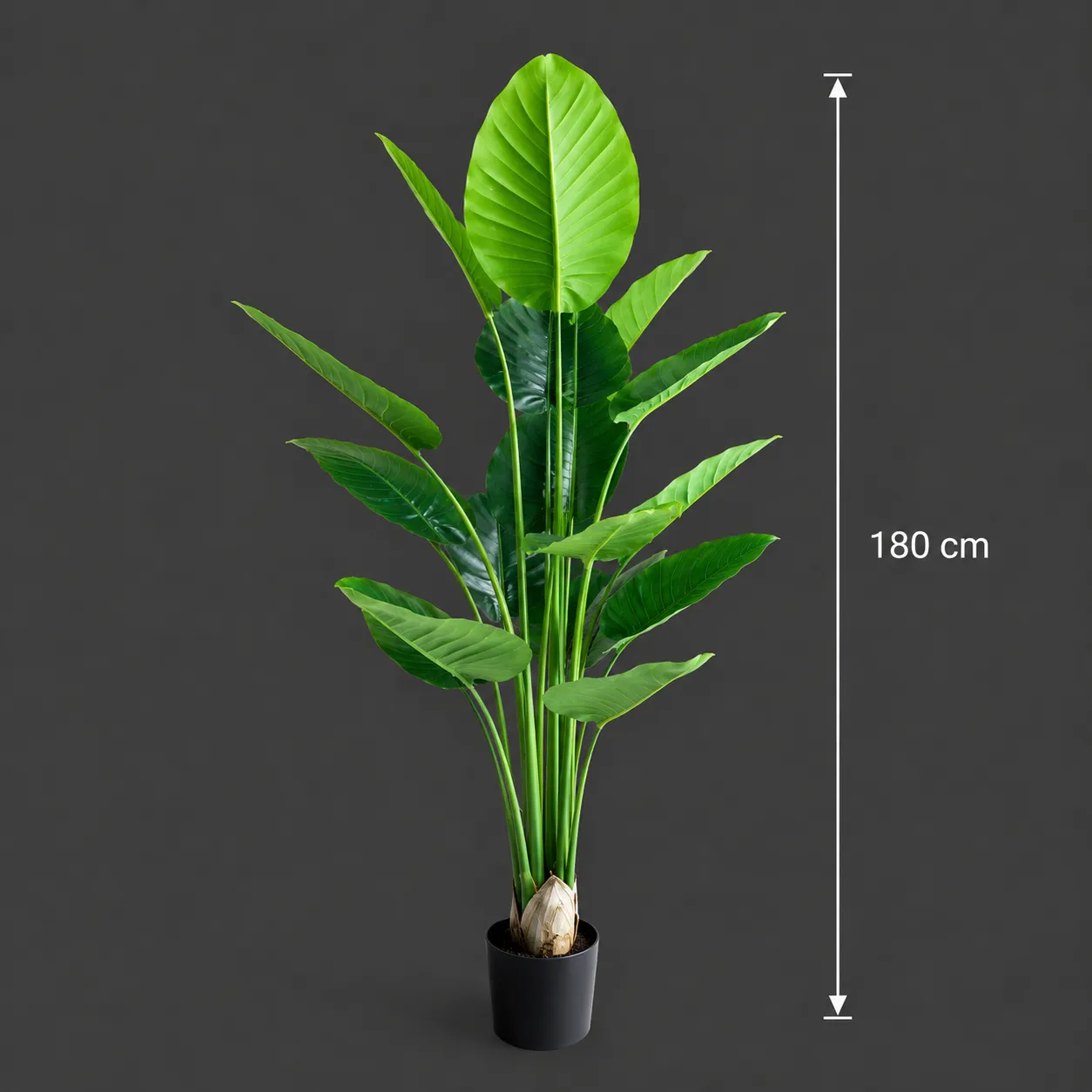 Alessandro Design Strelitzia planta artificiala verde 180cm 15 frunze