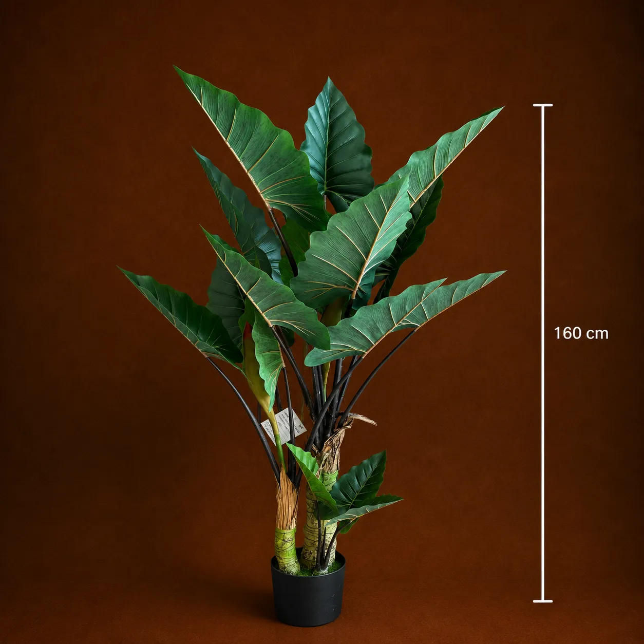 Alessandro Design Alocasia planta artificiala 160 cm verde 3 tulpini
