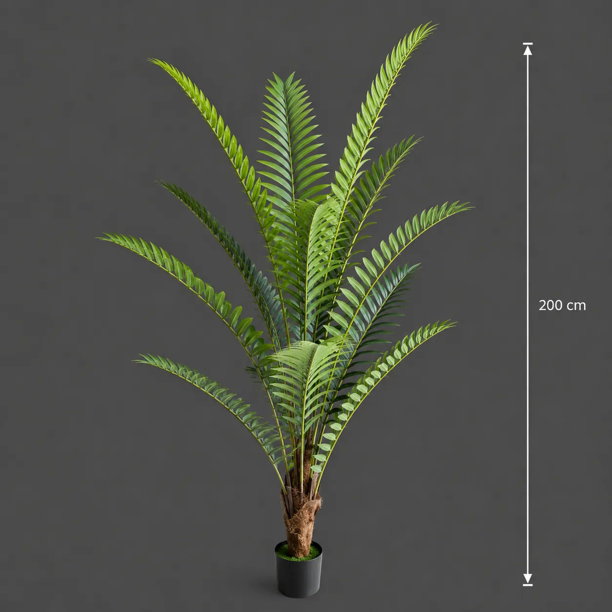 Alessandro Design Roystonea Regia planta artificiala 200 cm verde
