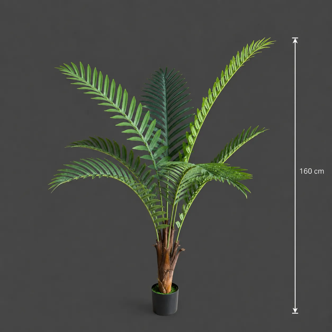 Alessandro Design Royal Palm planta artificiala 160 cm verde