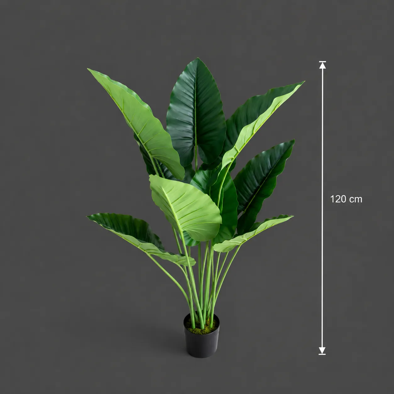 Alessandro Design Alocasia planta artificiala 120cm 10 frunze