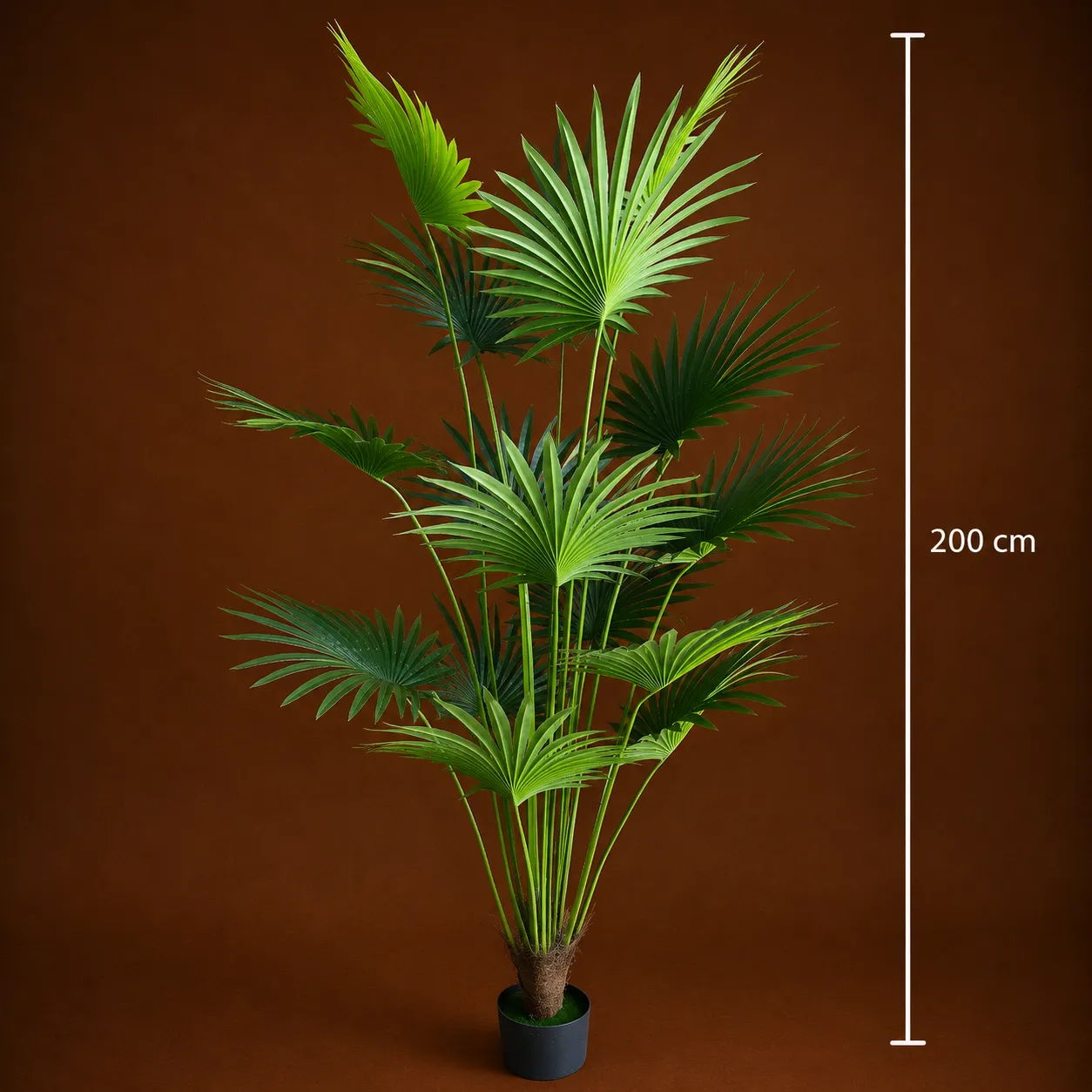 Alessandro Design Livistona planta artificiala 200 cm verde