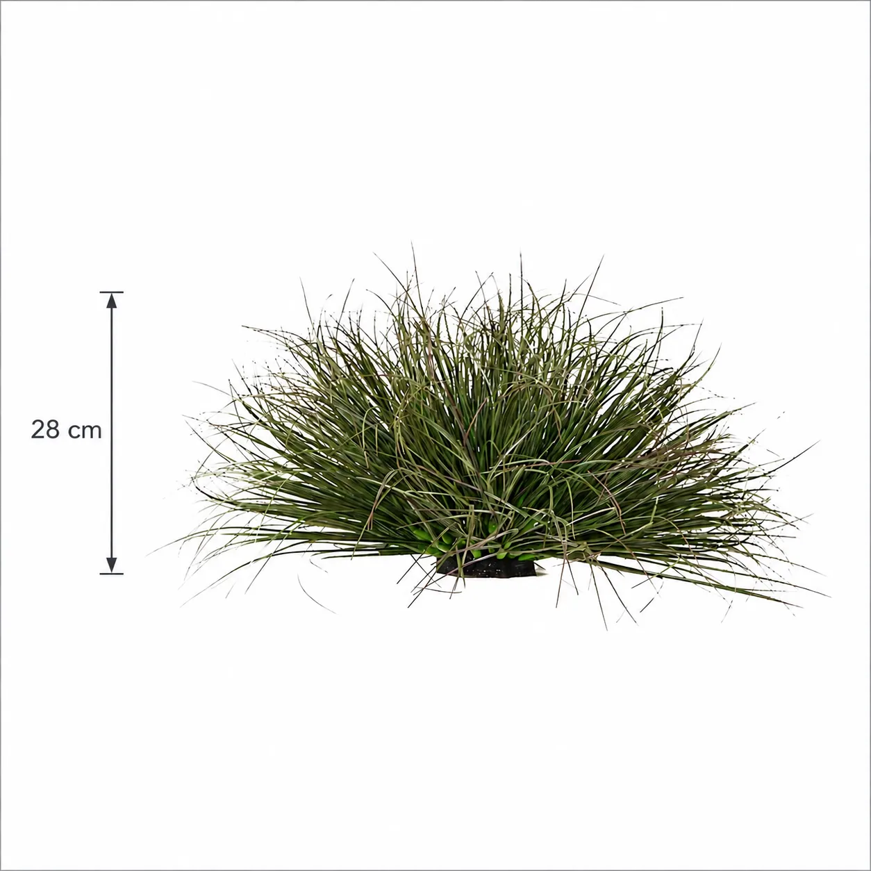 Alessandro Design Onion Grass tufa iarba artificiala 28cm verde inchis