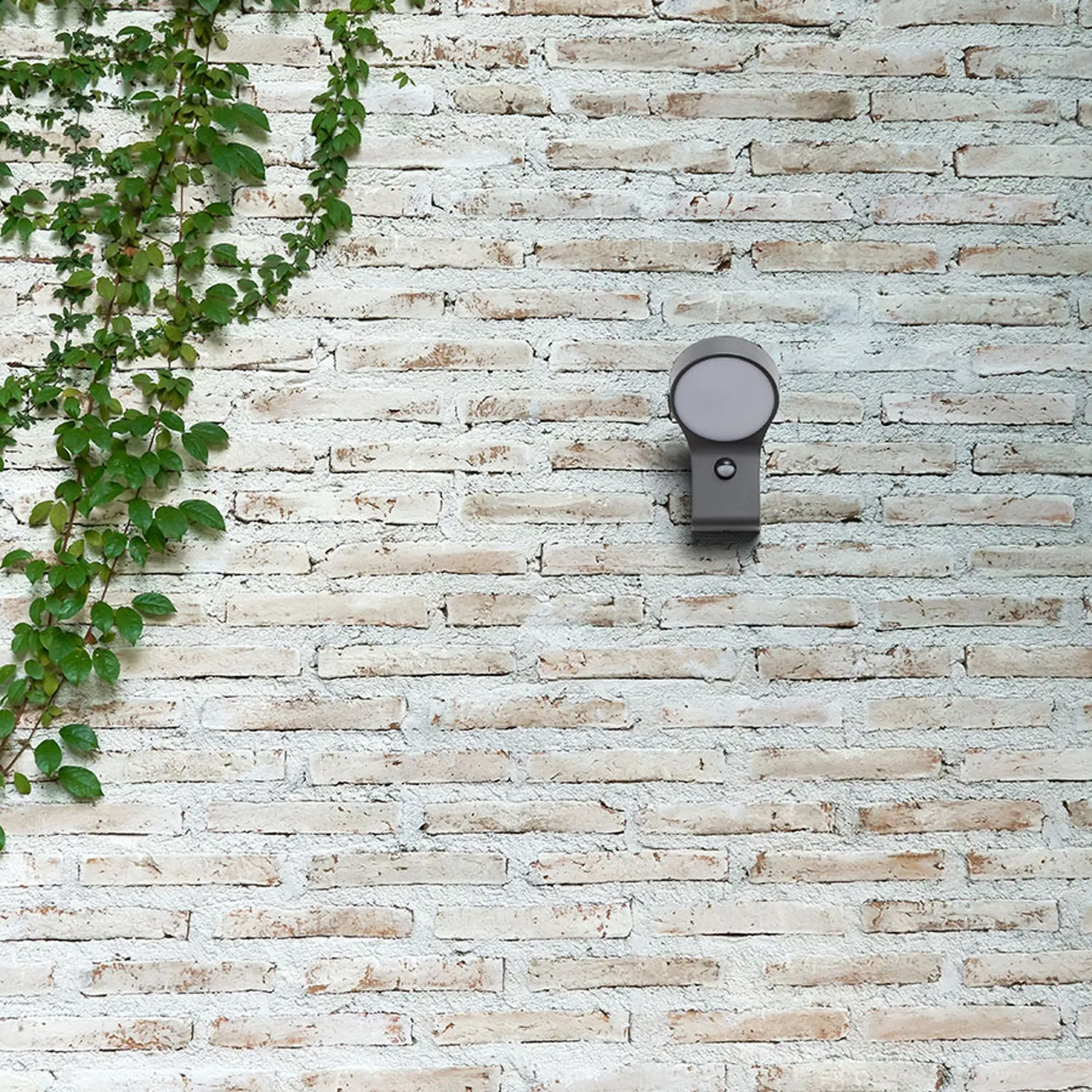 Rendl Elia PIR aplică exterior antracit cu senzore