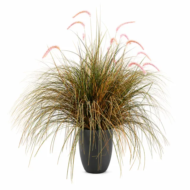 Alessandro Design Foxtail planta artificiala 120cm verde-roz