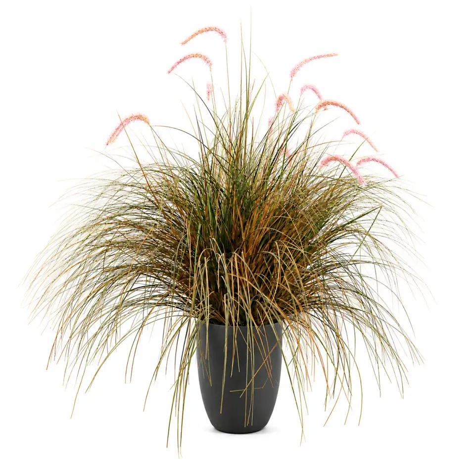Alessandro Design Foxtail planta artificiala 120cm verde-roz