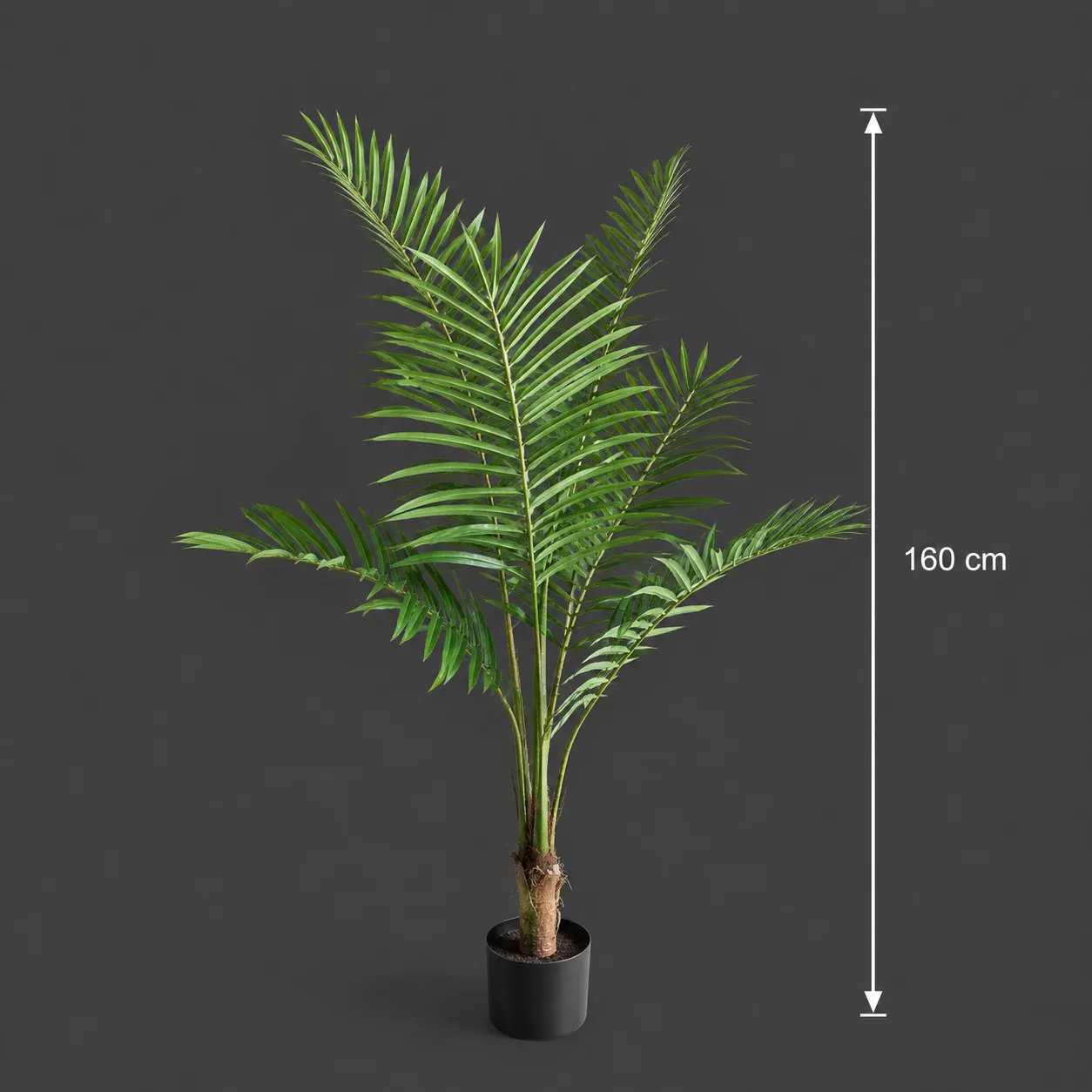 Alessandro Design palmier artificial Kentia 160 cm cu ghiveci