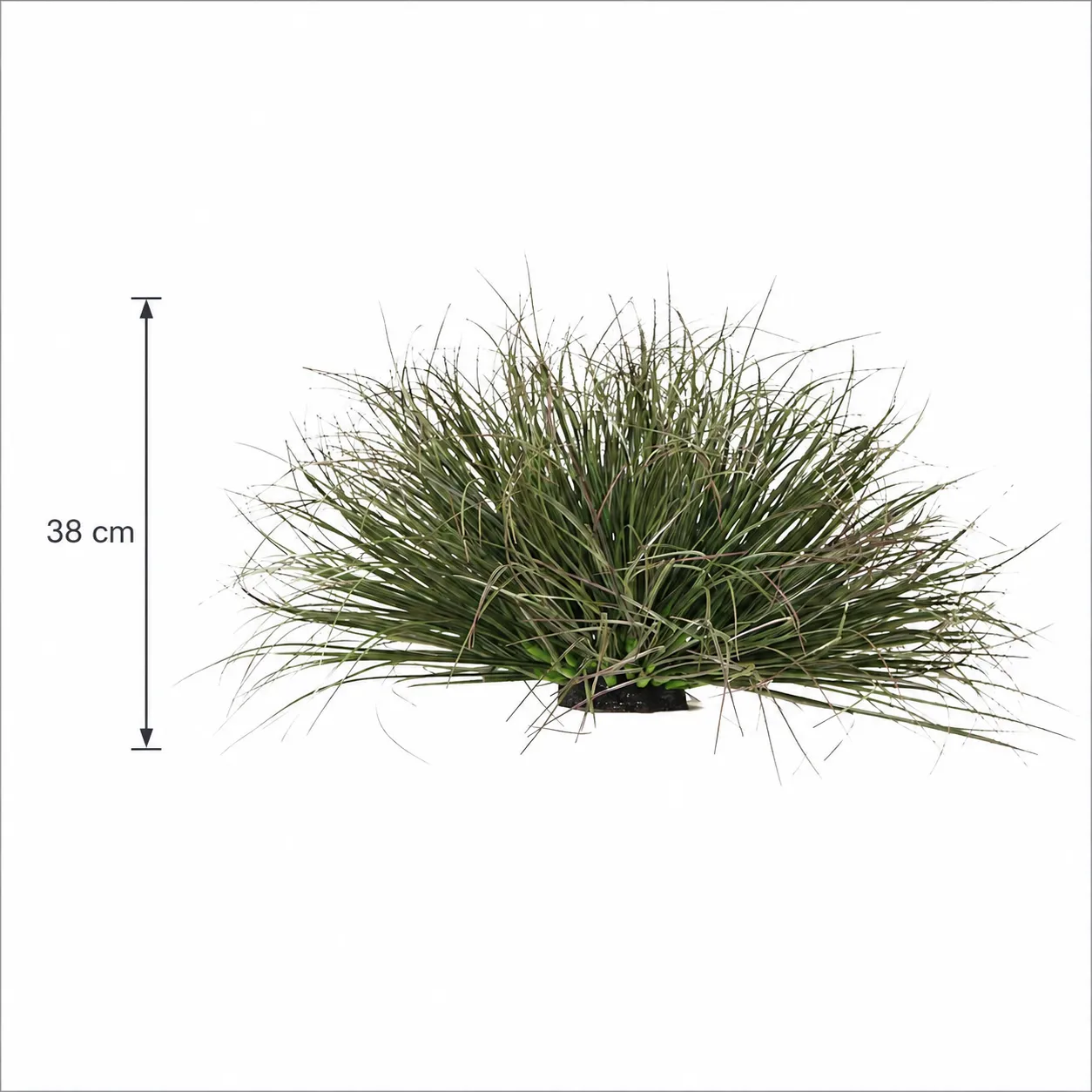 Alessandro Design Onion Grass tufa iarba artificiala 38cm verde inchis