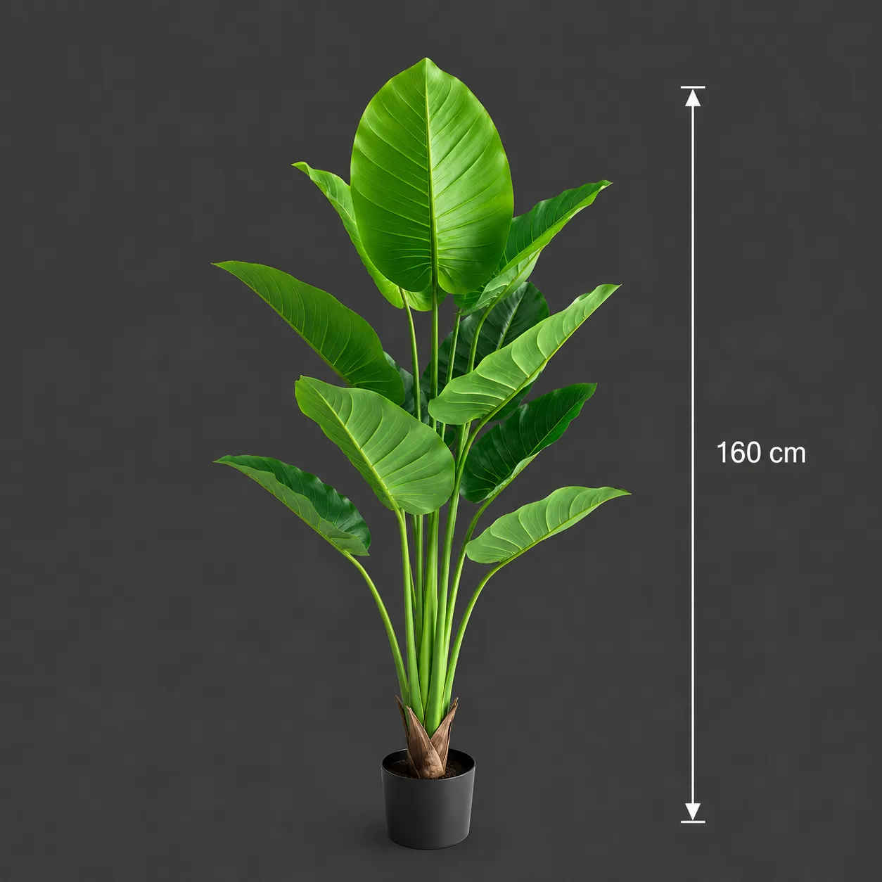 Alessandro Design Strelitzia planta artificiala verde 160cm 12 frunze