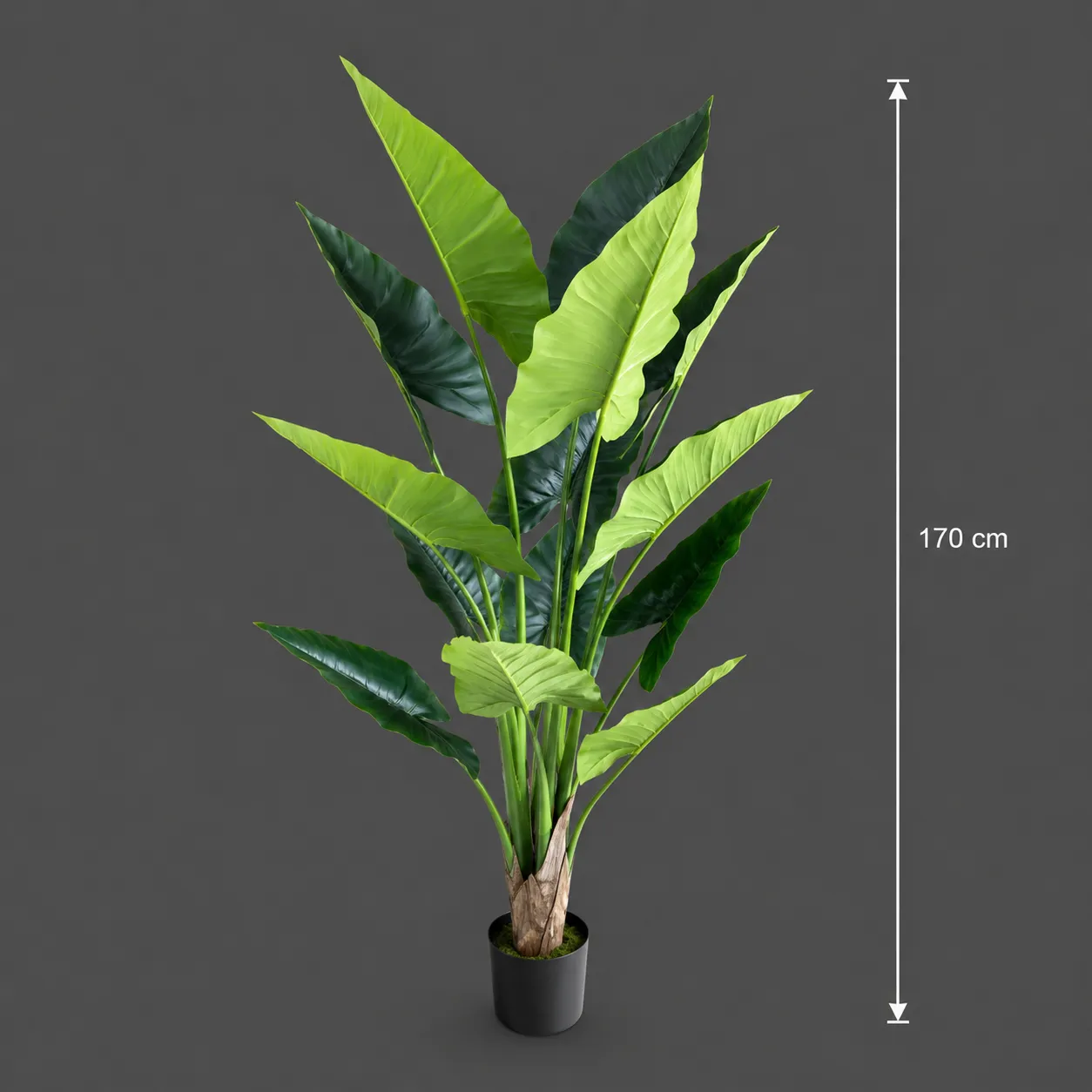 Alessandro Design Alocasia plantă artificială verde 170cm