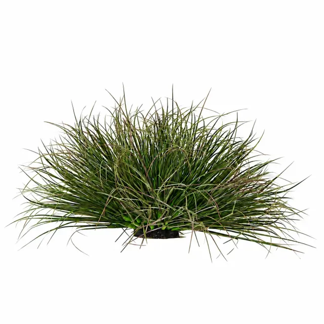 Alessandro Design Onion Grass tufa iarba artificiala 28cm verde inchis