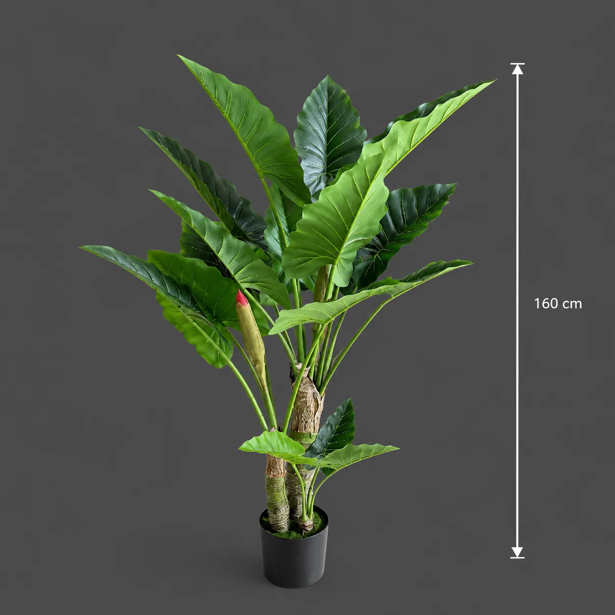 Alessandro Design Alocasia planta artificiala 160cm 3 tije